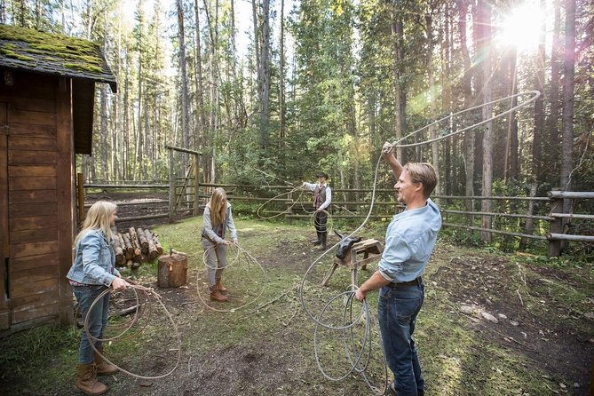 Covered Wagon Ride in Banff with Western Cookout - How the $115.50 price measures up