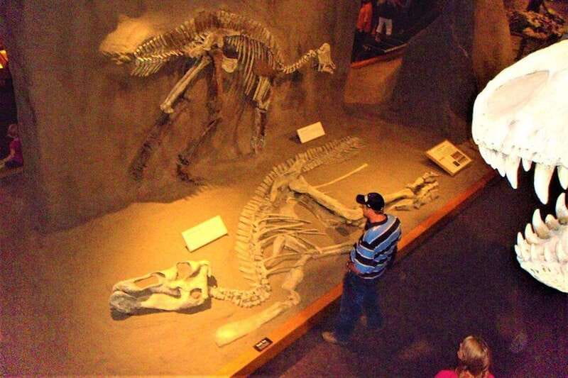 Day of Dinosaurs and Hoodoos From Calgary to the Badlands - Key points to know before booking