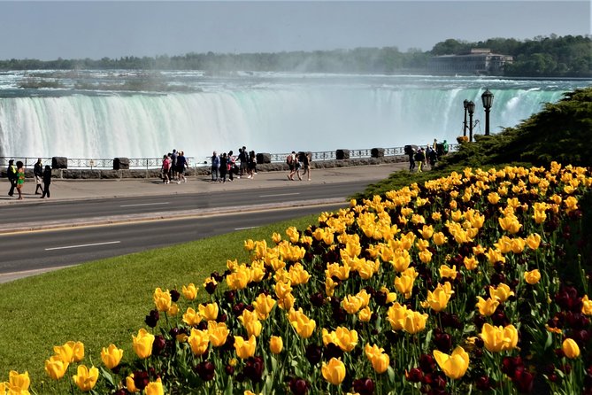 Day-Trip from Toronto to Niagara Falls with skip-the-line boat - First views of Niagara Falls and free time