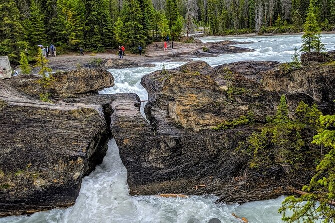 Day Trip: Lake Louise, Moraine Lake, Emerald Lake, Banff - Emerald Lake gives you the classic postcard pause