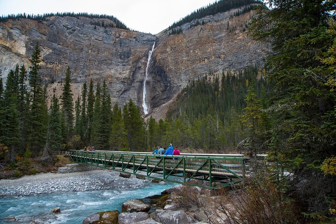 Discover Grizzly Bears from Banff - What the full day feels like