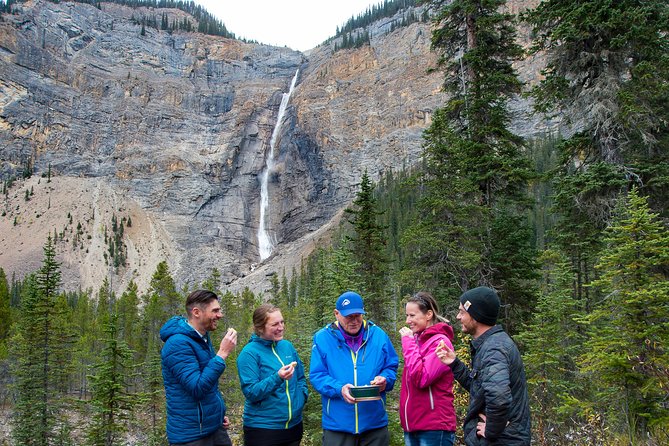 Discover Grizzly Bears from Banff - Is the value right for you?