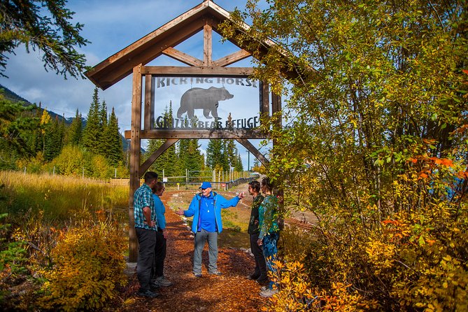 Discover Grizzly Bears from Banff - Takakkaw Falls and the 254-metre drop