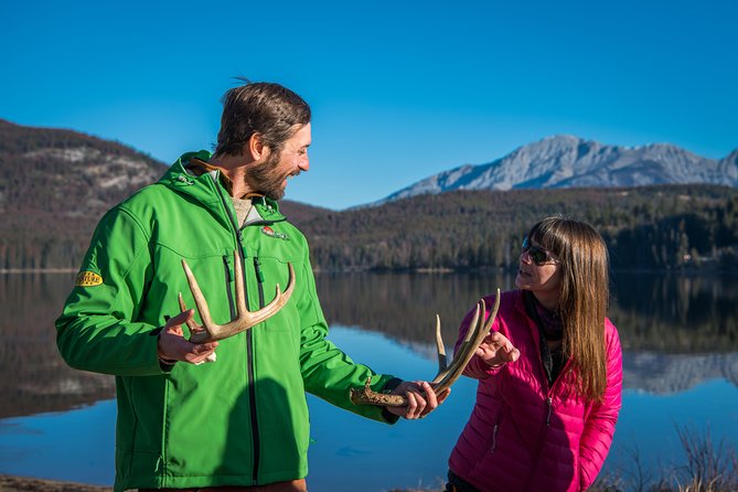 Discover Jasper and its Wildlife - Which animals might you see
