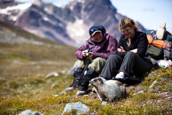 Discover Jasper and its Wildlife - The guide can make or break the experience