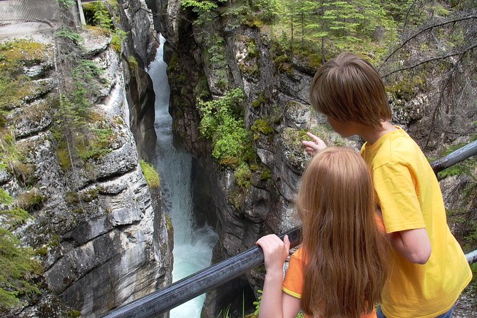 Discover Jasper and its Wildlife - Is $67.91 per person good value?