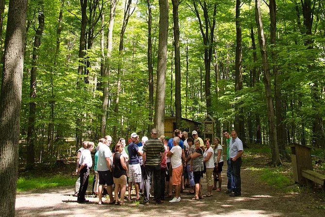 Discover Maple Sugar Bush Tour - What makes this maple tour worth your time