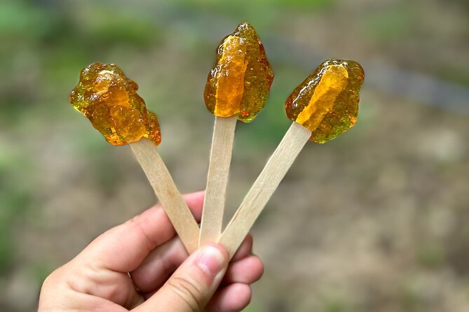 Discover Maple Sugar Bush Tour - The wagon ride leads into the sugar bush