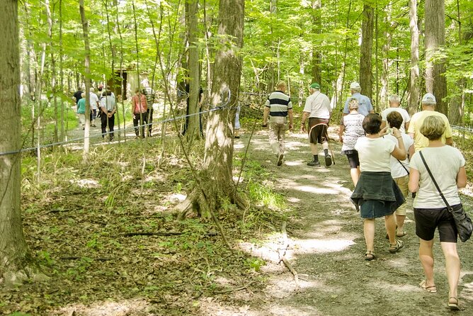 Discover Maple Sugar Bush Tour - Why the guides matter on this one-hour tour
