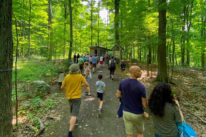 Discover Maple Sugar Bush Tour - Who will enjoy White Meadows Farms most?