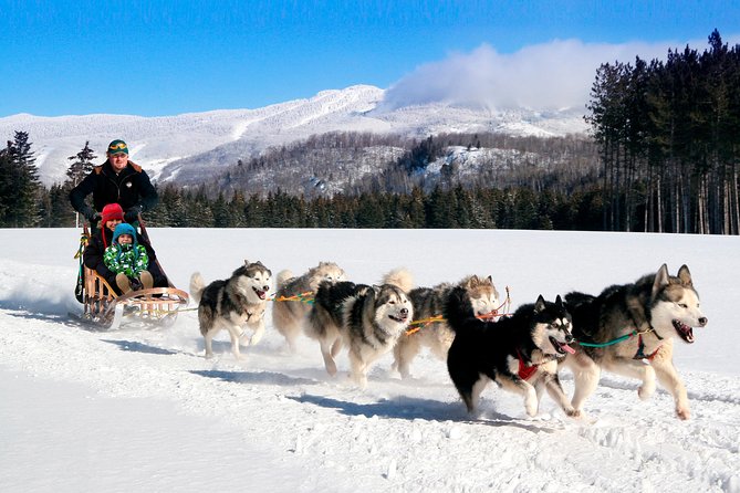 Dogsled Diable Adventure in Mont-Tremblant - Getting to the Dogsled Diable meeting point
