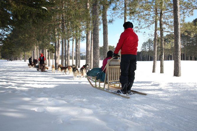 Dogsled Diable Adventure in Mont-Tremblant - One hour through Mont-Tremblant’s snowy valley