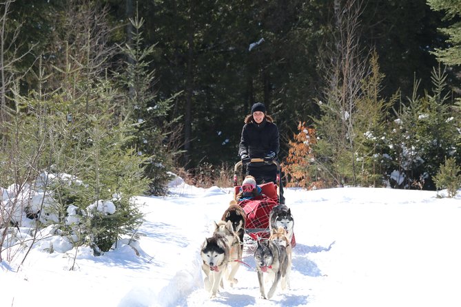 Dogsled Diable Adventure in Mont-Tremblant - Hot chocolate and cookies finish the outing
