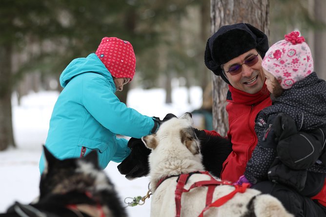 Dogsled Diable Adventure in Mont-Tremblant - Who will enjoy this most