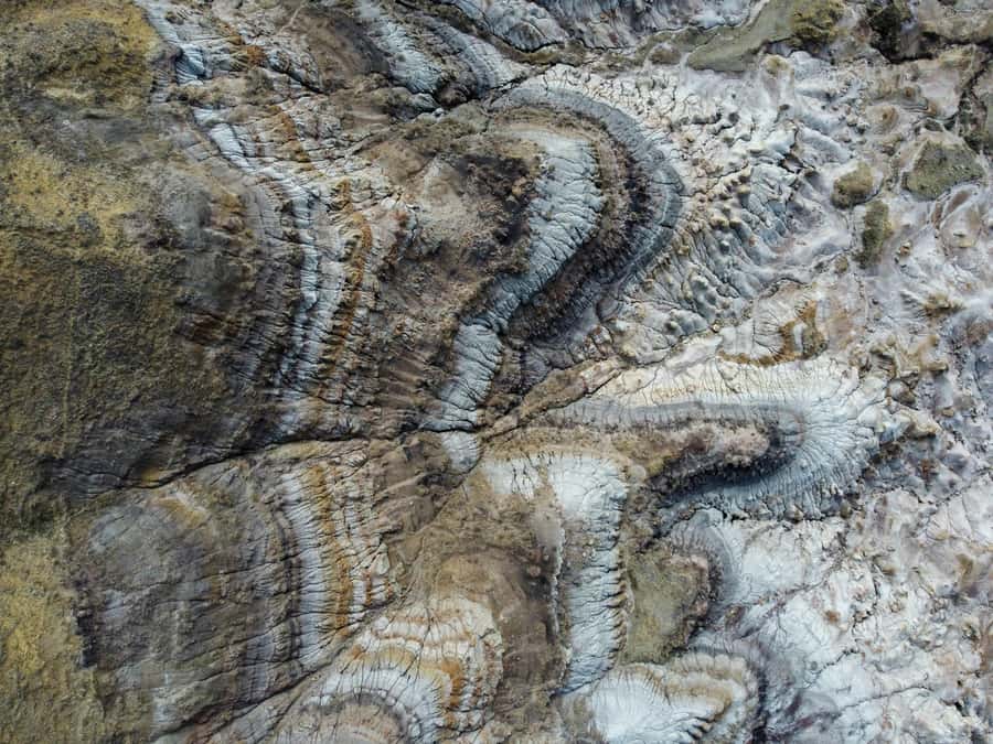 Drumheller: Dinosaurs, Canyons, & Hoodoos Day Tour - What the $119 price really covers