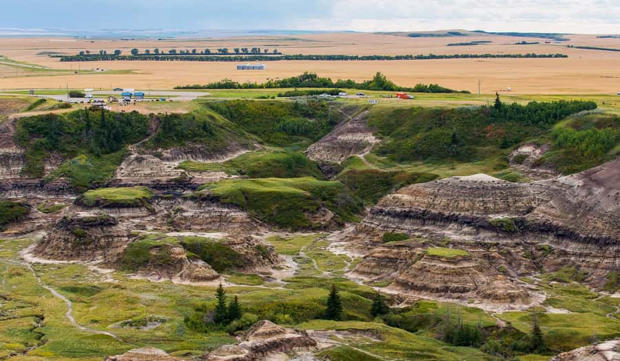 Drumheller: Dinosaurs, Canyons, & Hoodoos Day Tour - Who should book this Drumheller day trip