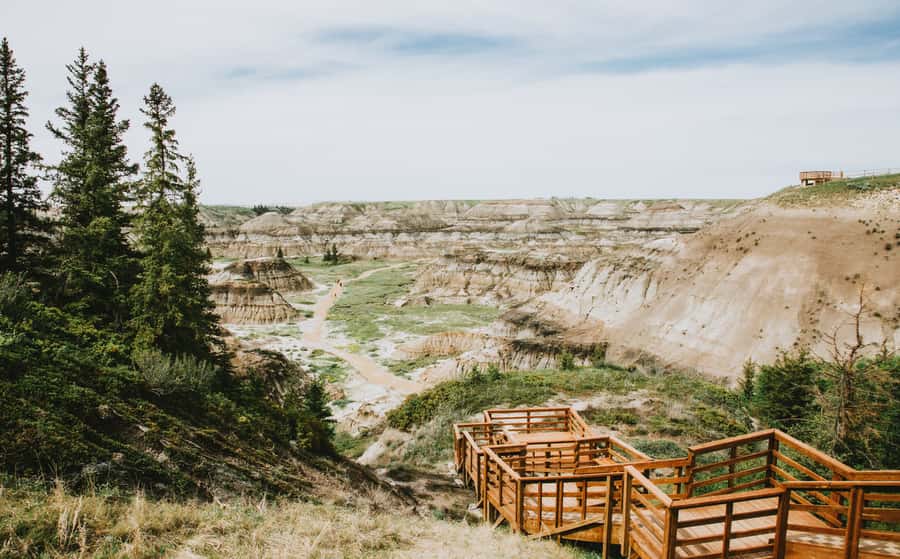 Drumheller: Dinosaurs, Canyons, & Hoodoos Day Tour - Horseshoe Canyon in a 30-minute visit