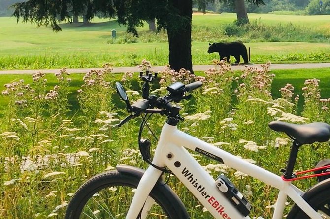 eBike Adventure in Whistler - Key points to know before you ride