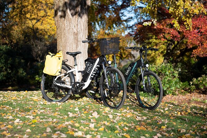 eBike Rentals in Kelowna - Mission Creek makes a better half-day target