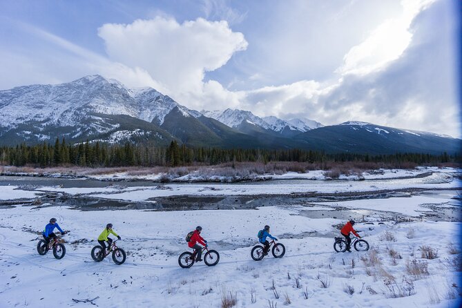 Electric Fat Biking Adventure in Banff | Small Group Adventure - Fenland Trail: an easy taste of the forest