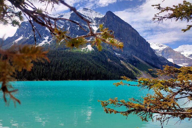 Emerald Lake Lake Louise Moraine Lake Half Day Tour - The vehicle and group experience