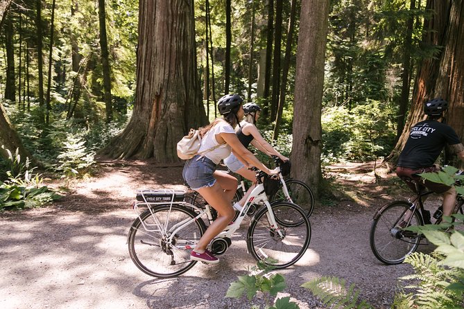 Epic Electric Bike Tour by Cycle City Tours - What the Guides Add to the Ride