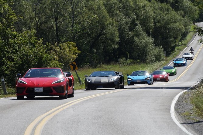 Exotic or Supercar Test Drive on Hamilton Mountain - Who will enjoy this most?