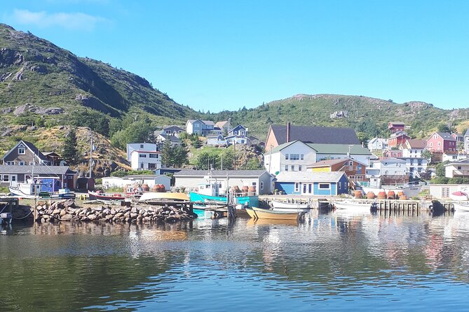 Explore St. John's Scenic Bus Tour to Cape Spear and Quidi Vidi - Signal Hill puts St. John’s below you