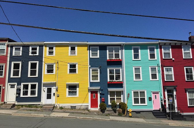 Explore St. John's Scenic Bus Tour to Cape Spear and Quidi Vidi - The guides make or break the experience