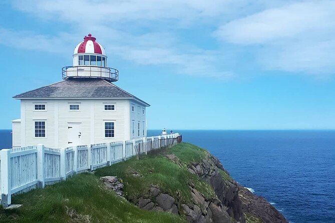 Explore St. John's Scenic Bus Tour to Cape Spear and Quidi Vidi - Cape Spear: the tour’s essential stop