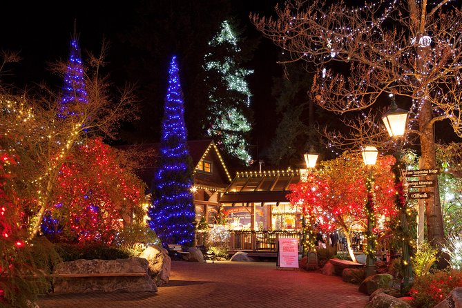 Explore Vancouver City & Capilano Suspension Bridge Canyon Lights - Why this tour works for a short Vancouver visit