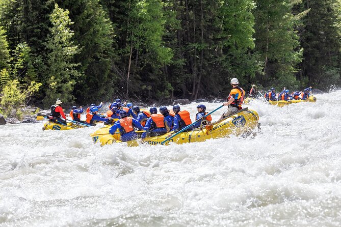 Extreme Whitewater Rafting on Kicking Horse River - The Kicking Horse River is the main event