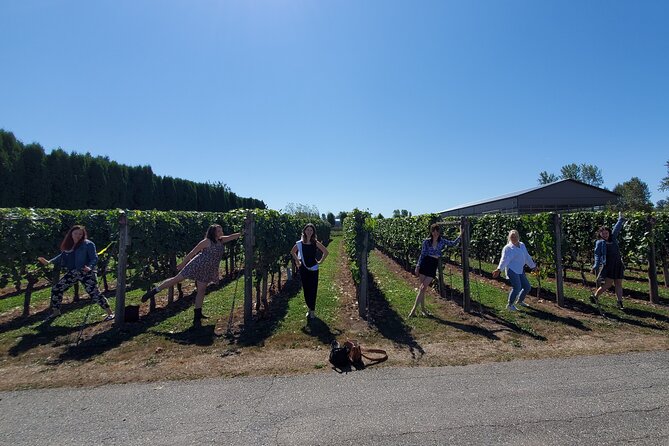 Fraser Valley Wine Tour from Vancouver with a Light Lunch - Who will enjoy this most