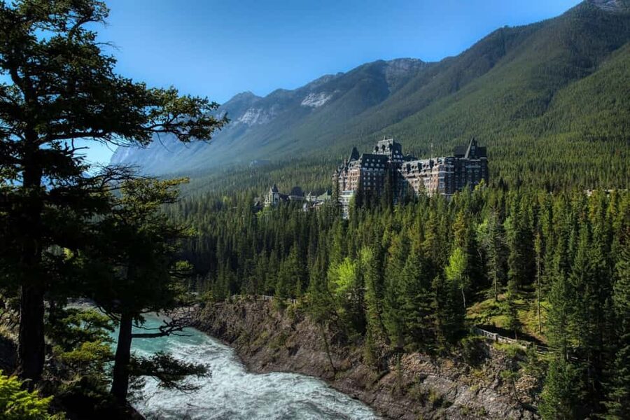From Banff: Banff Wildlife & Scenic Highlights Premium Tour - Guides who make the quiet moments count