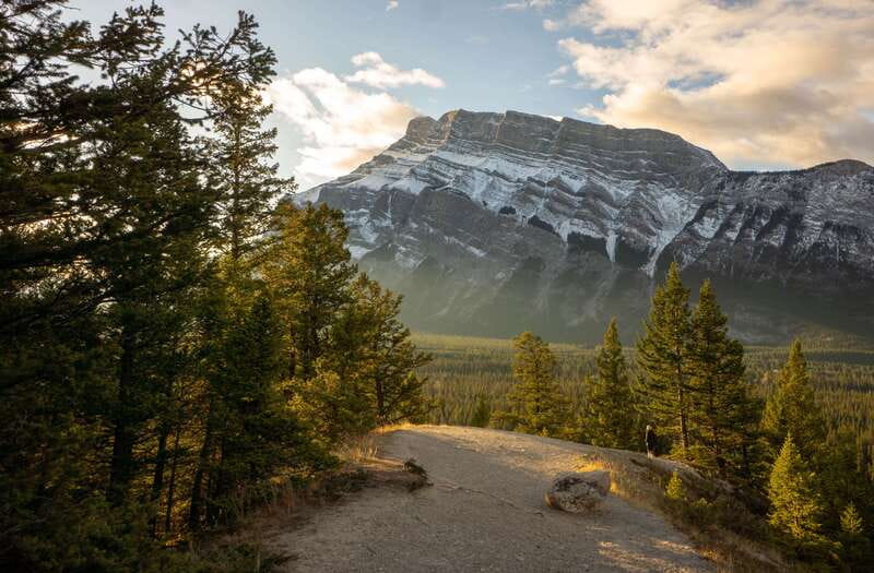 From Banff: Banff Wildlife & Scenic Highlights Premium Tour - Meeting your guide near the Banff Train Station