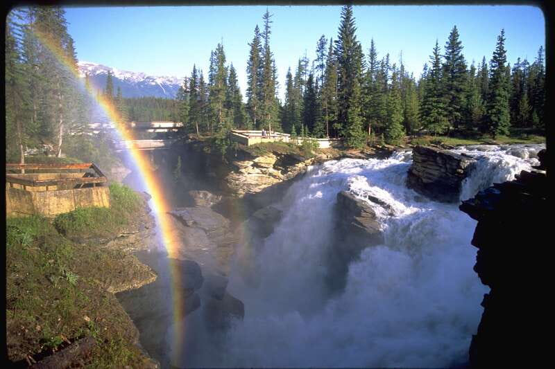 From Banff/Lake Louise: 1-Way Sightseeing Tour to Jasper - The Athabasca Glacier is the day’s main event