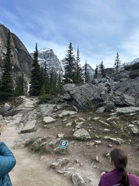 From Calgary/Banff: Moraine Lake & Lake Louise Half-Day Tour - Guides can make or break the day