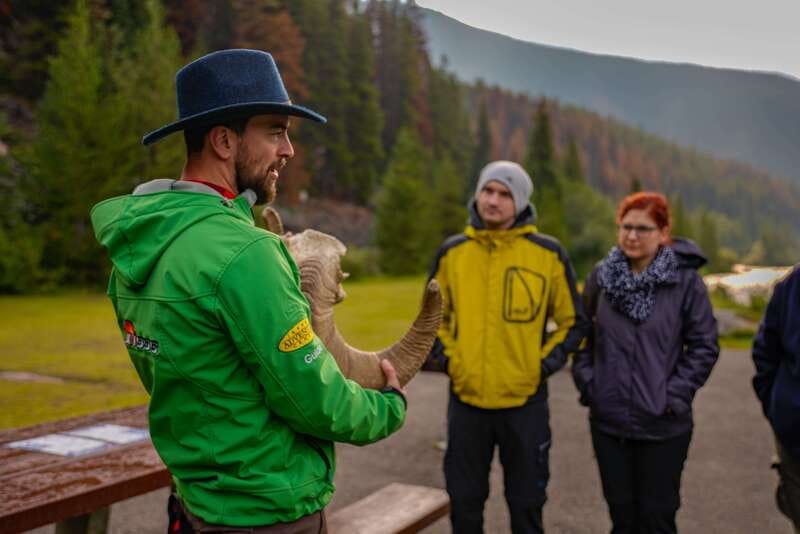 From Jasper: Jasper National Park Wildlife Discovery Tour - A relaxed way to meet Jasper National Park