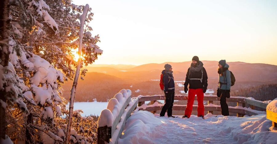 From Montreal: Mont-Tremblant National Park Hiking Day Trip - Choosing your trail in Mont-Tremblant National Park
