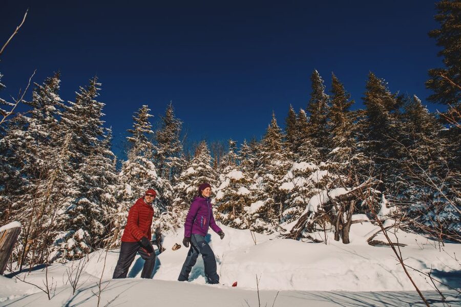From Montreal: Mont-Tremblant National Park Hiking Day Trip - A picnic in the forest around noon