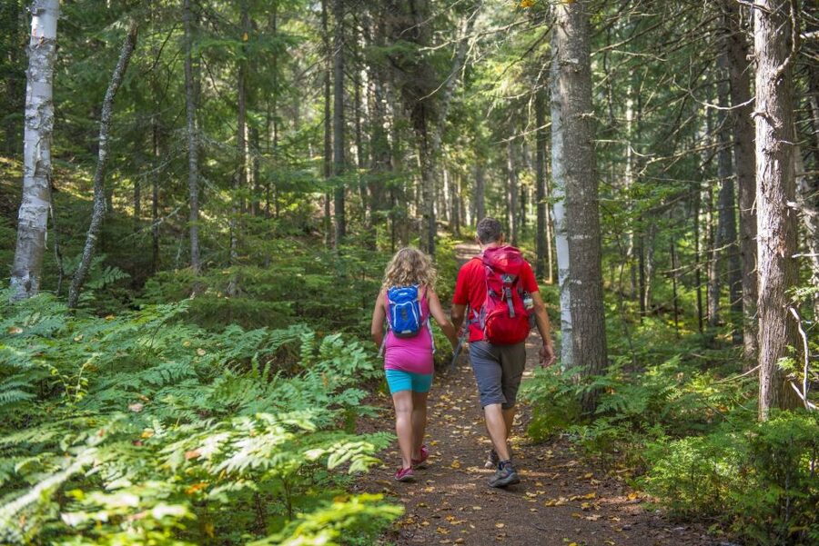 From Montreal: Mont-Tremblant National Park Hiking Day Trip - The return journey and Saint-Donat possibility