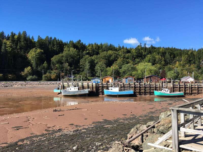 From Saint John: Bay of Fundy Bus Trip for Cruise Passengers - Key points to know before booking
