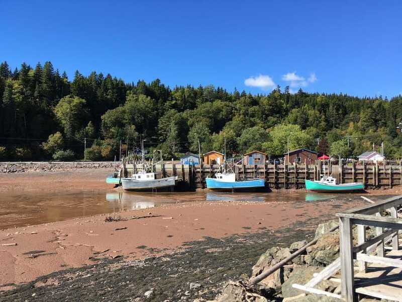 From Saint John: Bay of Fundy Bus Trip for Cruise Passengers - Carleton Martello Tower in 15 minutes