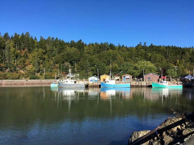 From Saint John: Bay of Fundy Bus Trip for Cruise Passengers - Why the guides matter so much