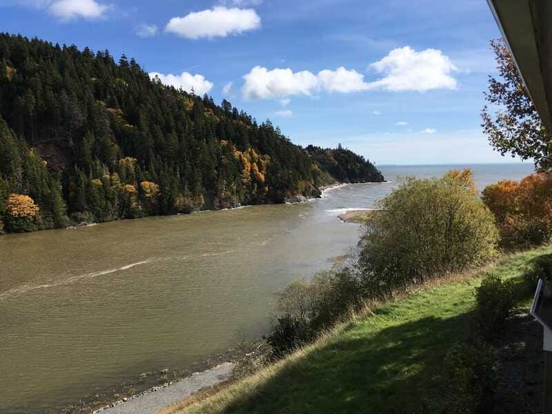 From Saint John: Bay of Fundy Bus Trip for Cruise Passengers - Who should book this Saint John excursion?