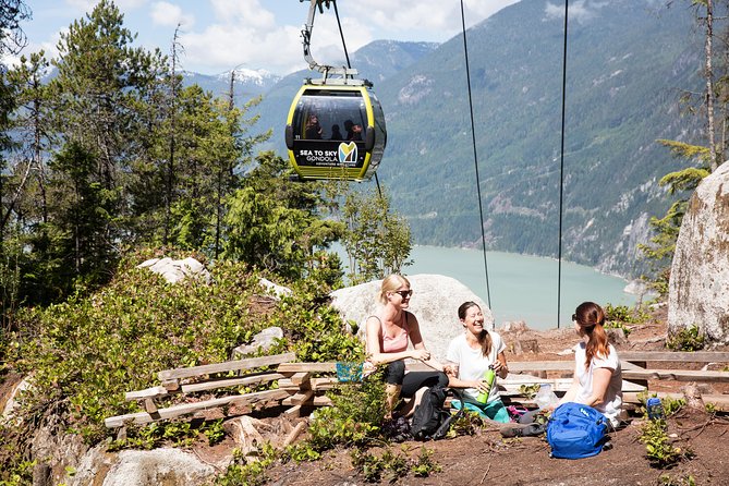 From Vancouver: Whistler & Sea to Sky Gondola with Shannon Falls - Who should book this experience