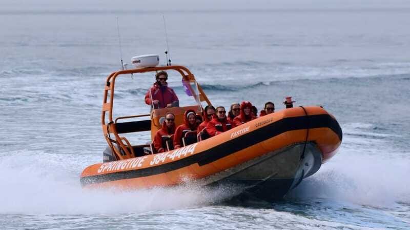 From Victoria: Whale Watching Tour by Zodiac Boat - Who should book this Zodiac tour?