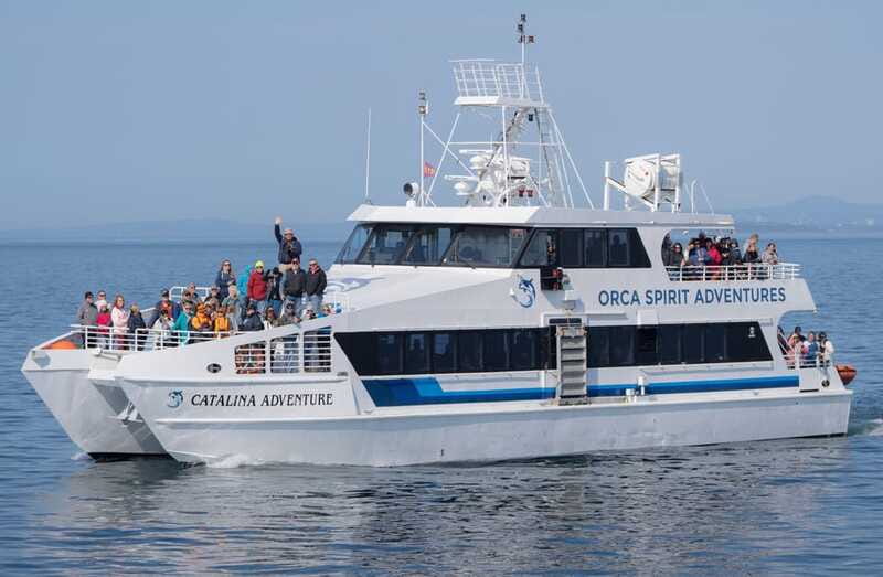 From Victoria: Whale Watching Trip on Covered Boat - Is $132 a fair price?
