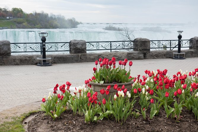 Full-Day Niagara Falls Tour from Toronto w/Boat/JBF/Tower - Maple Tasting, Winery Stops, and Niagara-on-the-Lake