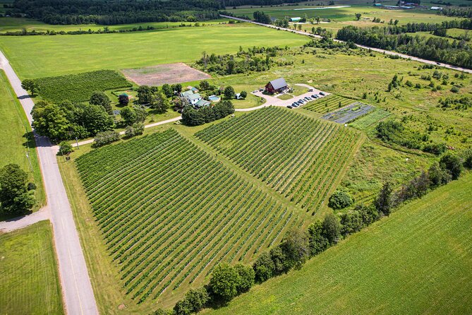 Full Day Pontiac Wine & Cider Tour - Day Trip From Ottawa & Gatineau - Domaine de Pontiac Village and Its Vintage Cars